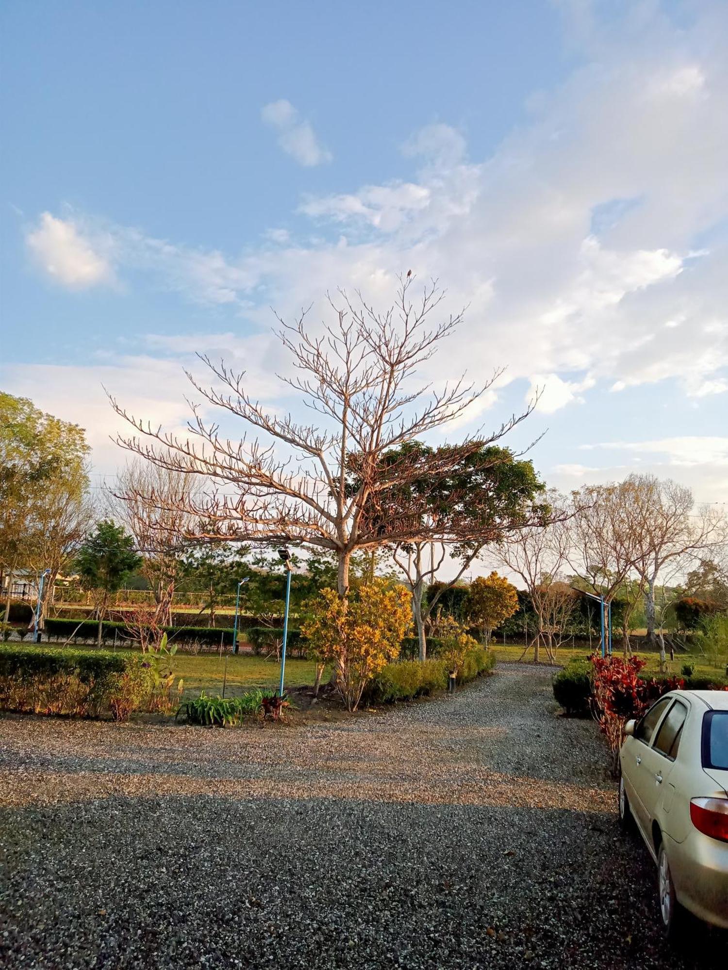 Maple Feeling Vacation Farm Guest House Guangfu Eksteriør bilde